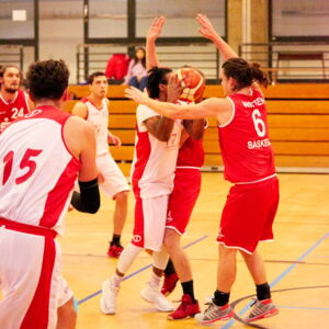 20181217165846-4d93e950.jpg