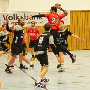 20190114212640-ddd322a9.jpg