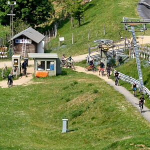 040.jpg