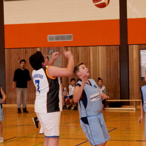 20181119193449-8cd7ee51.jpg
