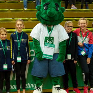 PSD Indoor-Meeting 2019