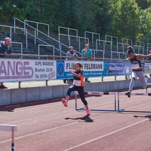 20180910164002-76d203fc.jpg
