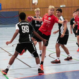 20181210172542-27d44193.jpg