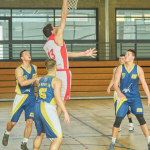 20190407163354-34cbf377.jpg