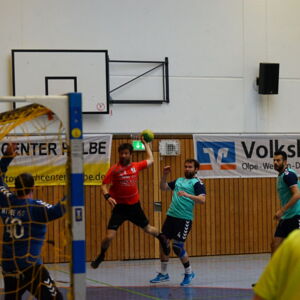 20180905091757-44bc6c37.jpg