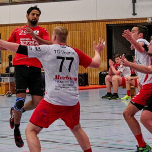 20181104192012-3ae37d27.jpg