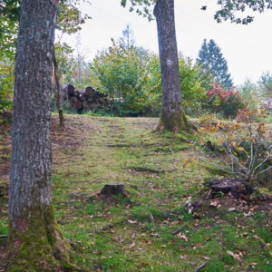 20211013 007.jpg