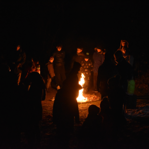 20221209 Waldweihnacht 006.png