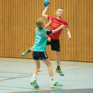 20190318115143-43ab7036.jpg