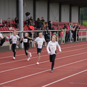 20180905092723-c129ad40.jpg
