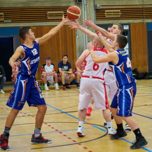 20190215103613-389c85ae.jpg