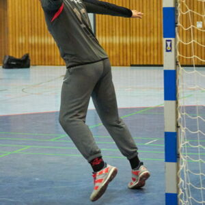 20190215104206-7fae10c3.jpg