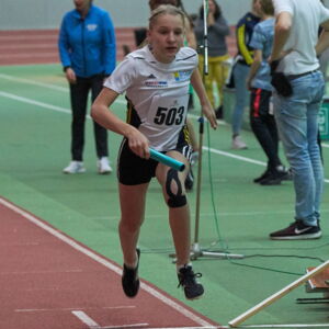 20190205194023-0e342be5.jpg