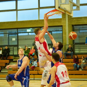 20190215103609-b7ec2e8f.jpg