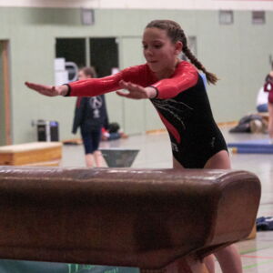 20190215104744-63ffcc75.jpg