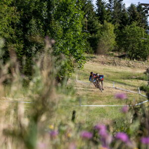 20190710142350-61362b5c.jpg
