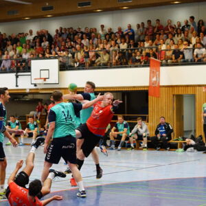 20180905091825-af2e17a1.jpg