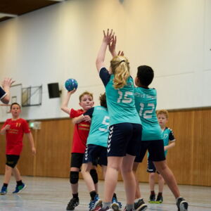 20190318115208-08e65ba9.jpg