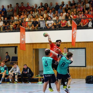 20180905091836-01b19ee9.jpg