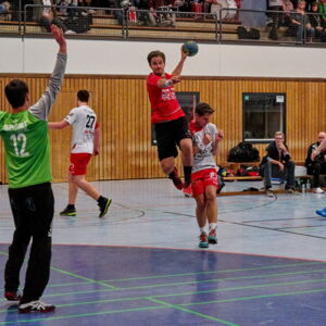 20181104192020-d2453c82.jpg