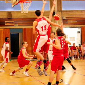 TVOB : Witten Baskets
