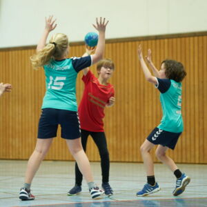 20190318115241-47cea2f8.jpg