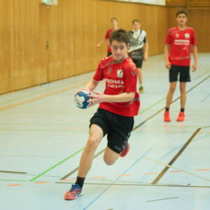20190331200249-ca26ebca.jpg