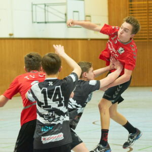 20190331200248-b7889a28.jpg
