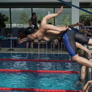 20180905093701-ff58561a.jpg