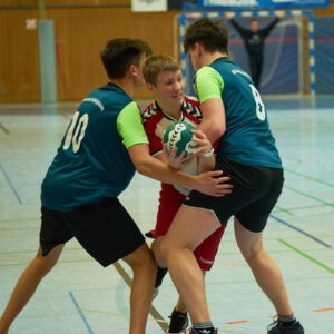 20190331200326-5045d517.jpg