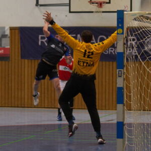 20220326 Handball 009.jpg